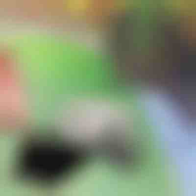 Kulcs rejtekhely | KEYBLEND