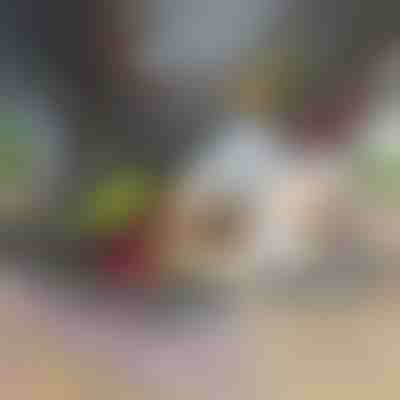 12 az 1-ben zöldség aprító és szeletelő | CHOPMASTER