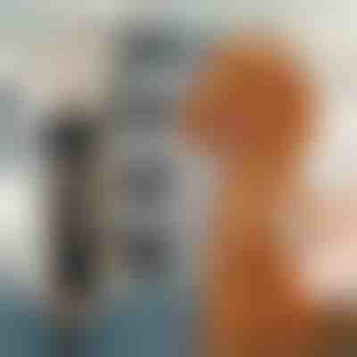 Háziállat szőrnyíró szett | GULAMACHINE