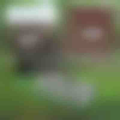 Sokoldalú kerti eszköz talajkarbantartáshoz | PRONGSPRO