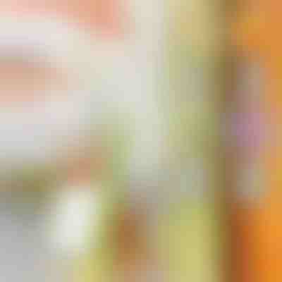 Többcélú aprító | SLICEWISE