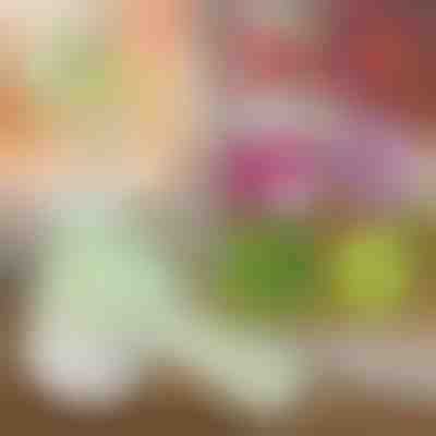 4 az 1-ben kézi elektromos aprító | ROTOCHOP