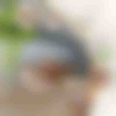 Interaktív csapkodó madárjáték | CHIRRCAT